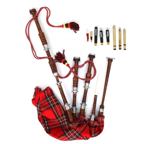 Scottish great highland - great,